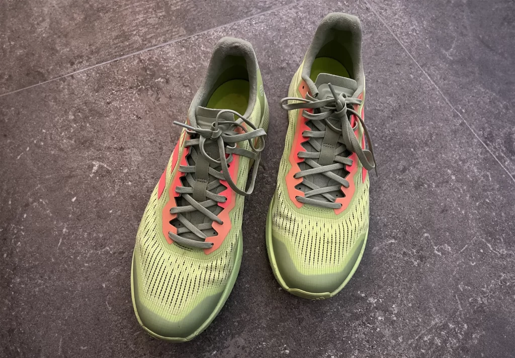 Adidas Terrex Agravic Flow 2.0 Gore-Tex