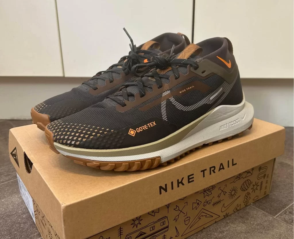 Nike Pegasus Trail 4 Gore-Tex